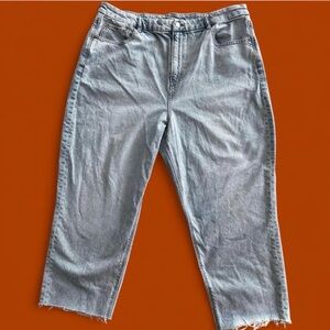 Plus Size Light Blue Wash Cropped American Eagle Denim Strigid Jeans